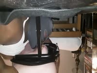 Negro Toilet Pig Eating White Master Shit